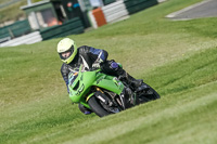 Lower Group Green Bikes